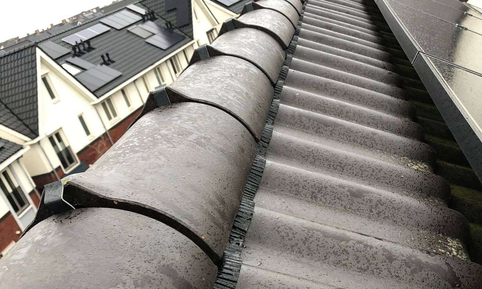 Nieuwe nokvorsten geplaatst in 0183